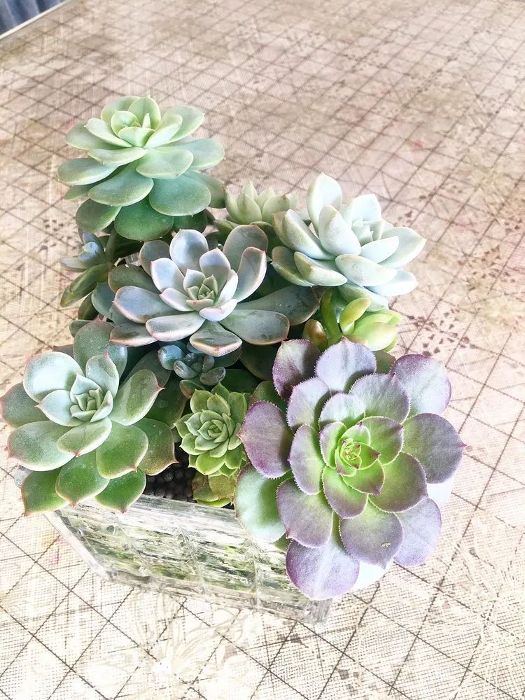 2021牛转乾坤砥砺前行,2021年牛转乾坤时来运转