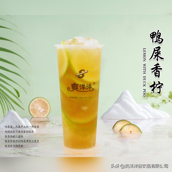 惠州市爽洋洋奶茶汉堡,爽洋洋奶茶加盟总部在哪里