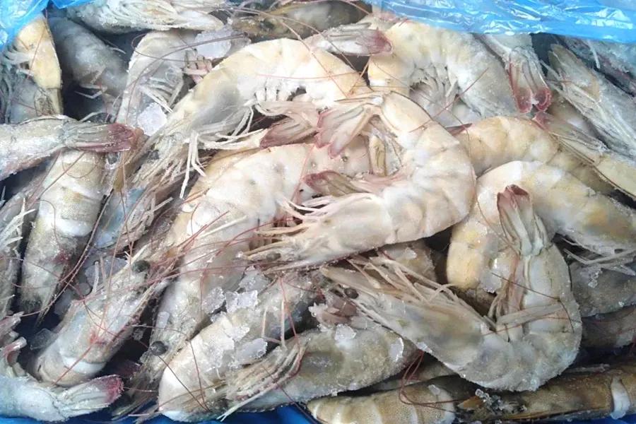 冷冻虾外包装检出新冠病毒,冷冻虾外包装检出新冠病毒图片