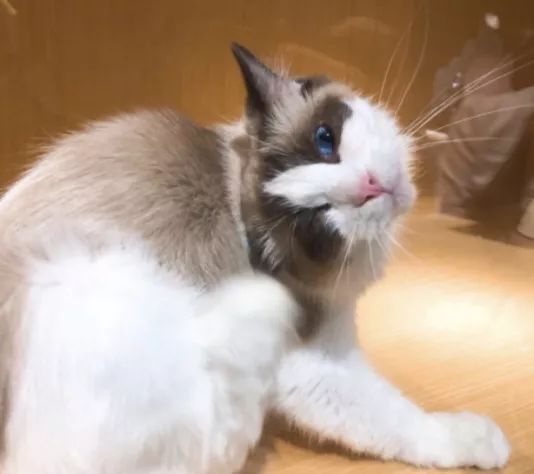 生活在南京的真实感受,南京适合生活嘛