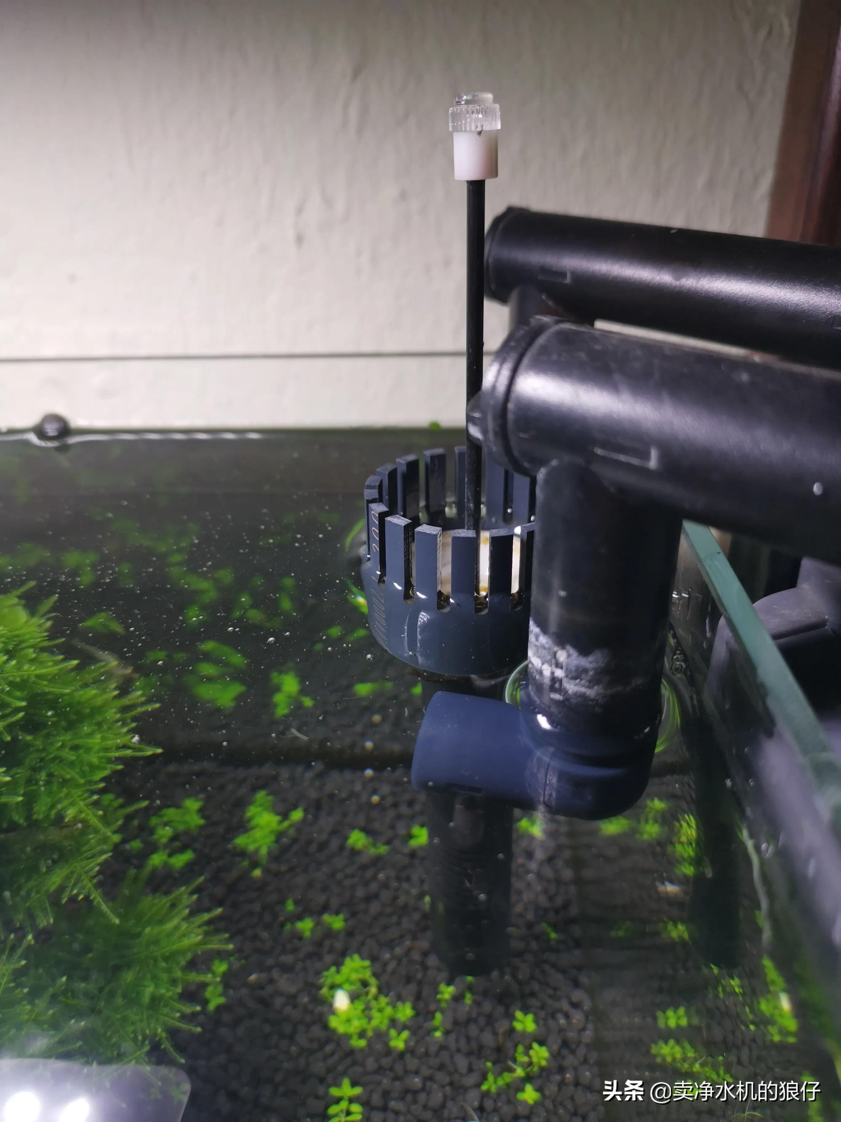 鱼缸过滤器失效,如何判断干燥过滤器失效