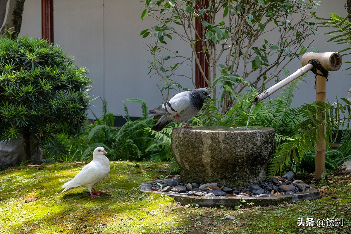 高温天气去看风景,夏日旅游福州攻略