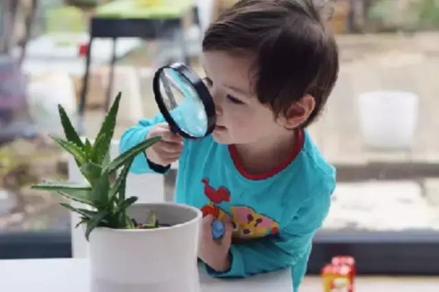 7-12月宝宝蒙氏亲子游戏,100个经典蒙氏小游戏总结