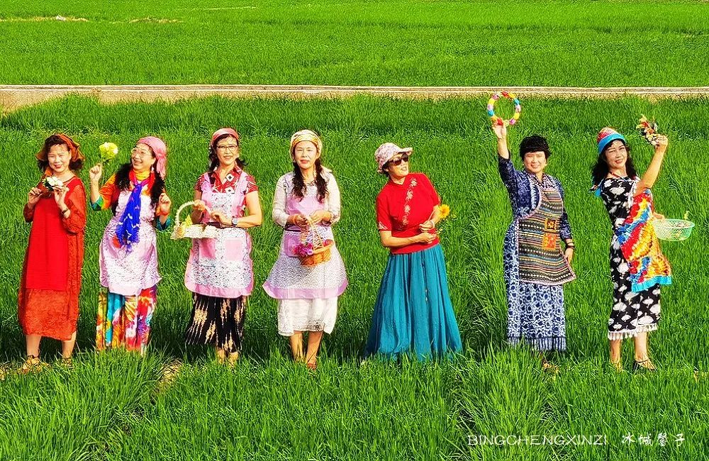 做把“村姑”,走进海南灯火灿烂的火龙果园