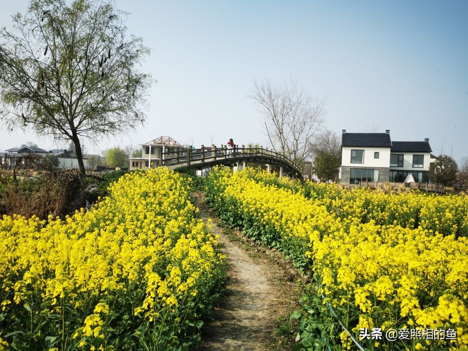 一个普普通通的小镇兴化,兴化为什么没有大城市的繁华