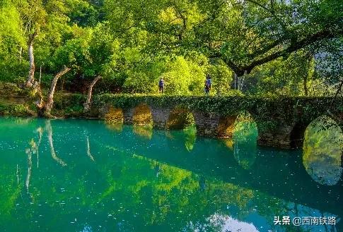 熊猫专列贵州十日游,熊猫专列旅游