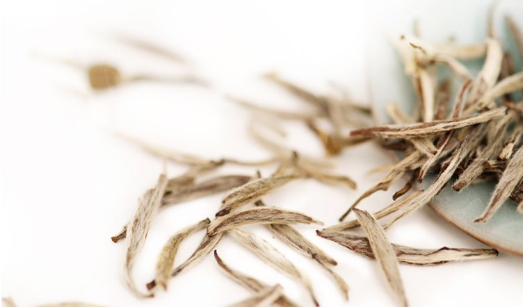 建阳白茶哪个品种最有名,建阳白茶简介资料