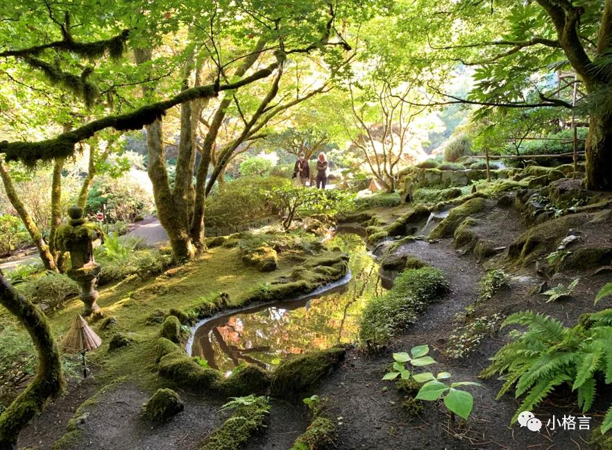 维多利亚著名的花园,维多利亚旅行攻略