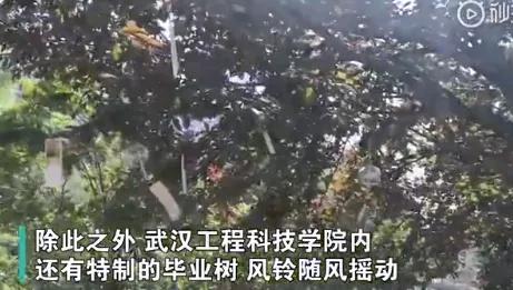 毕业季送给你们最好的礼物,毕业季有哪些有意义的毕业礼物