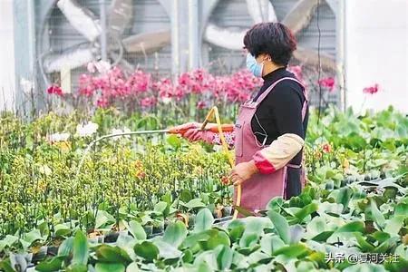 吹响决战决胜脱贫攻坚的号角,书写新时代的新答卷