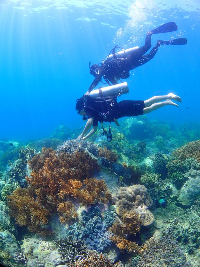芽庄潜水一般多少米,芽庄深潜和浮潜的区别
