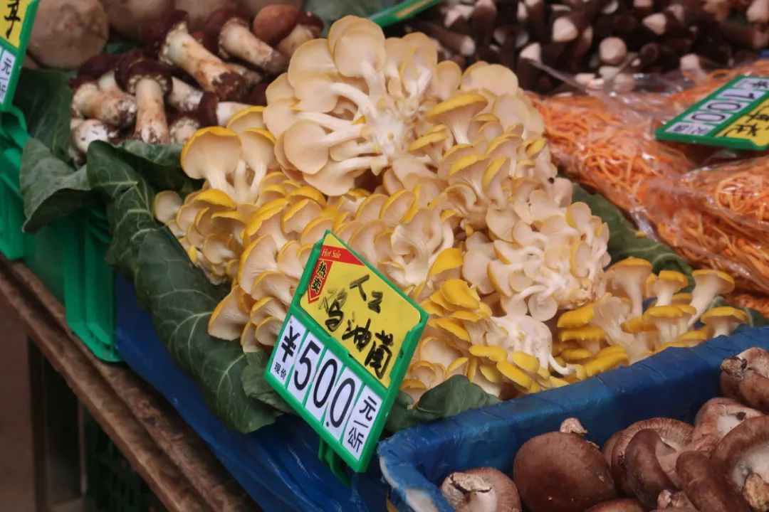 鏄嗘槑瑗垮北鍖鸿彍甯傚満,鏄嗘槑瑗垮北鍖烘槬澶忕鍐彍甯傚満