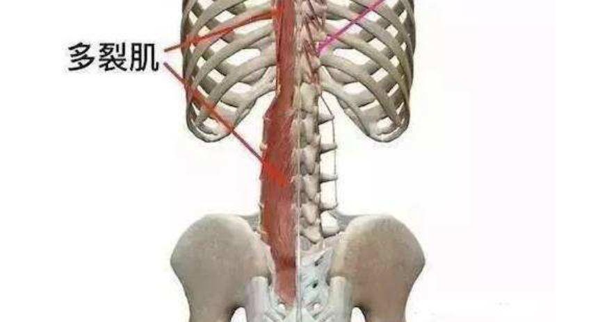 正在毁掉你背部的4个错误生活习惯