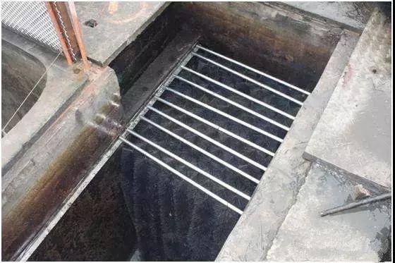 小鱼缸都适合养什么,小鱼缸都适合养啥