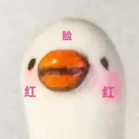 冬天帽子女款2022款网红款加厚,头大的女生冬天适合什么帽子