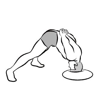 从小白到健身达人十大步骤,从健身小白到健身达人励志