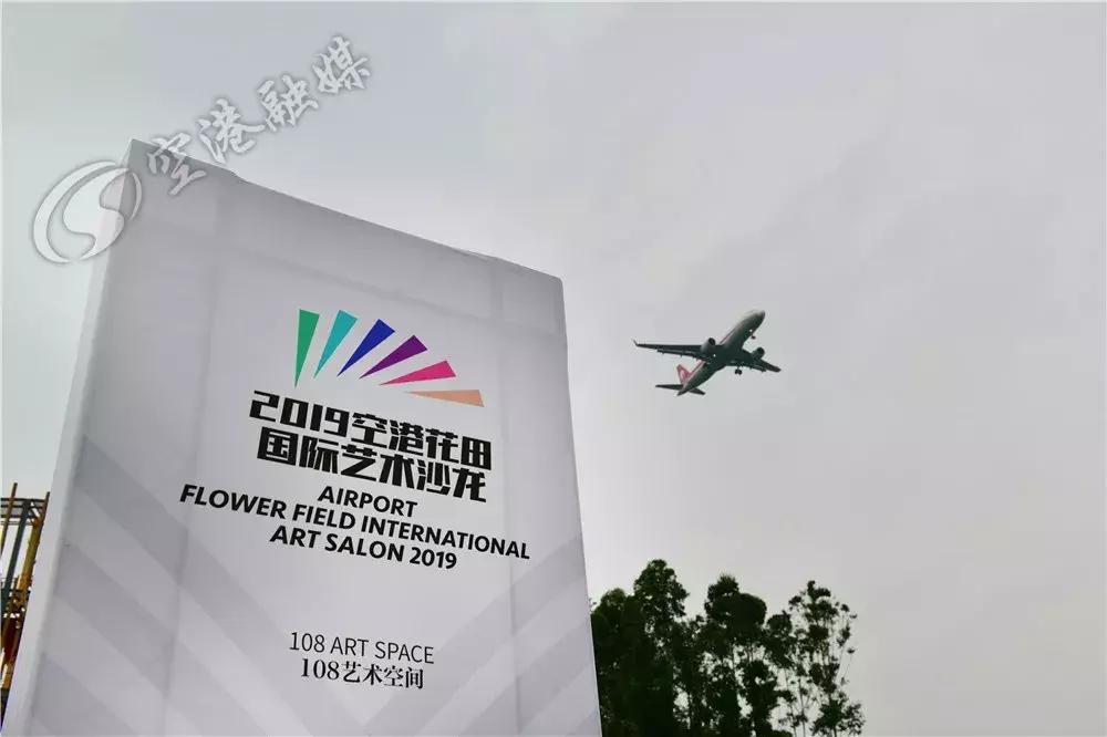 来成都打卡空港花田,成都双流空港花田打卡看飞机