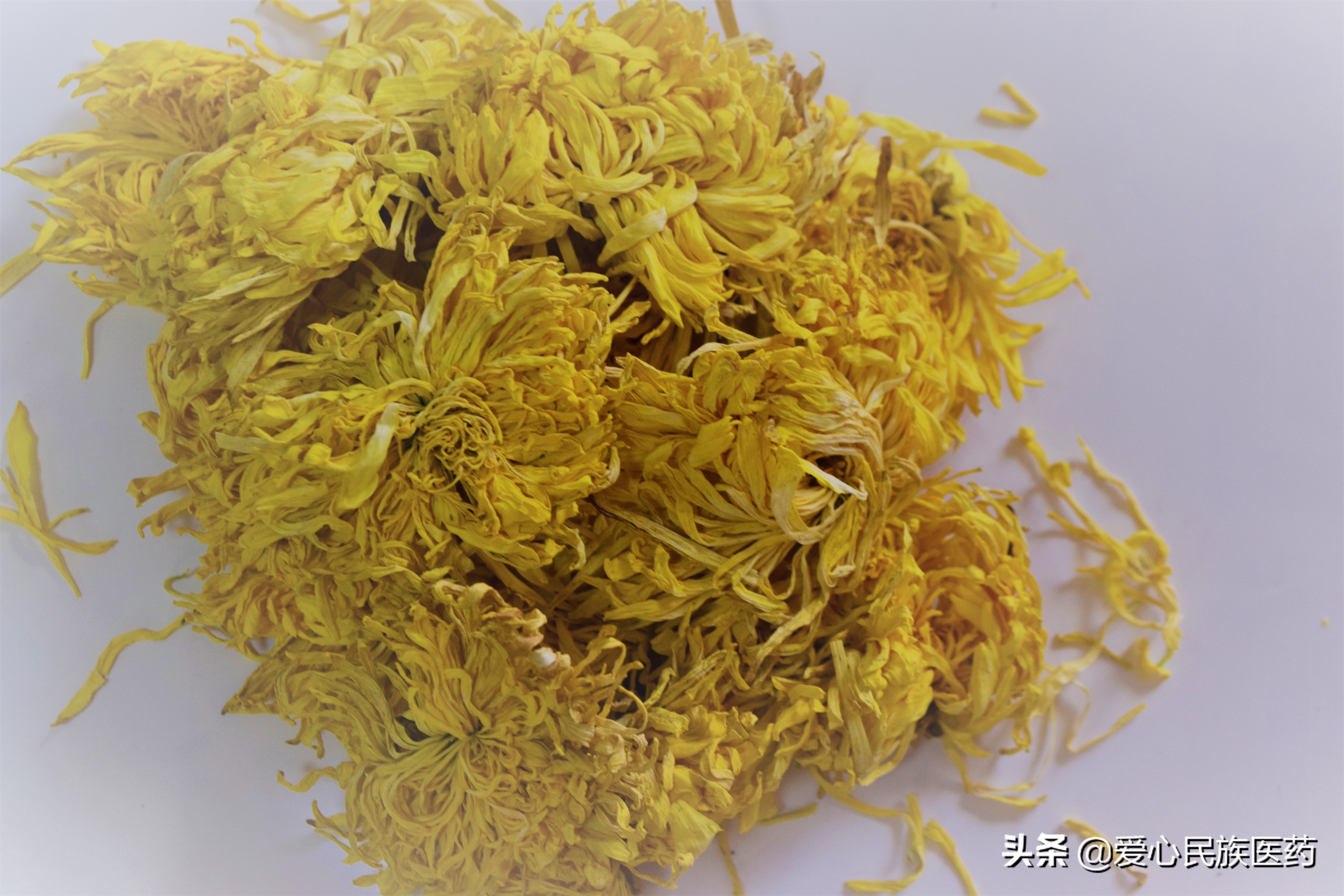 胎菊和金丝皇菊哪个泡水效果好,胎菊和玫瑰花可以一起吗