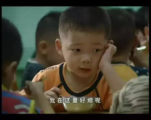 孩子不自律推荐看的4部纪录片,带孩子看六部短片