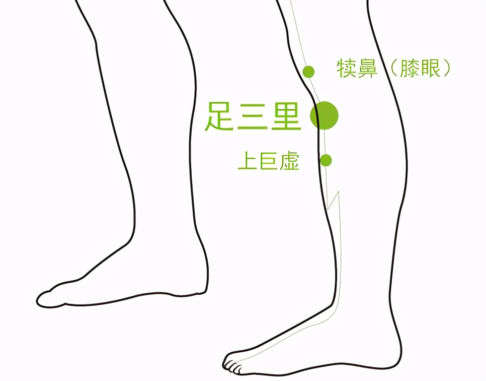 央视女主持人朱迅,艾灸朱迅