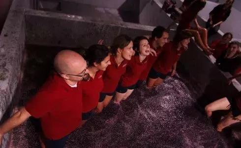 法国干红葡萄酒酿造过程,葡萄酒酿造过程