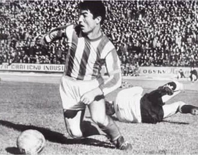 国足何小珂贝尔格莱德,贝尔格莱德红星最强阵容