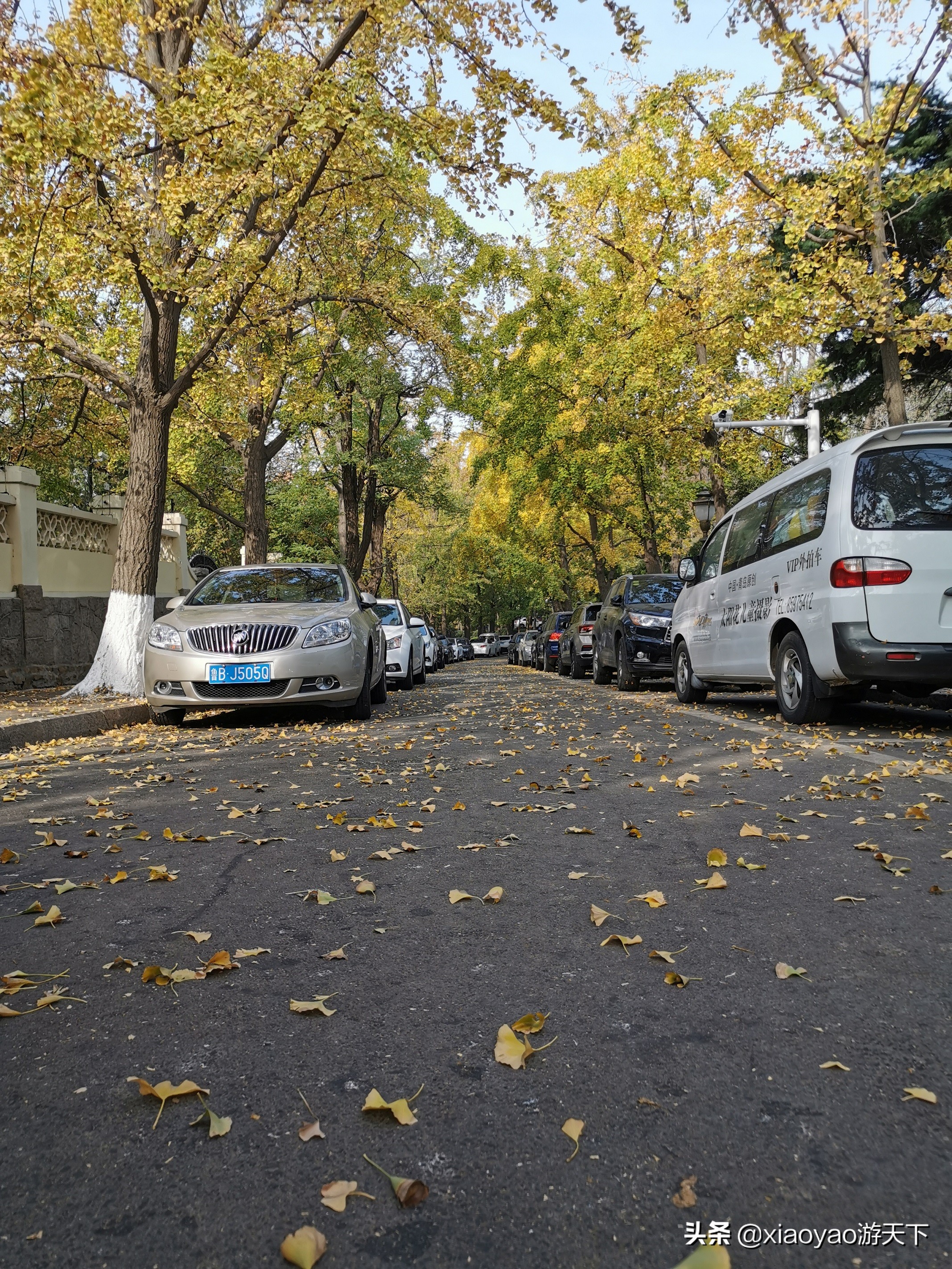 青岛八大关将军楼,青岛八大关风景区