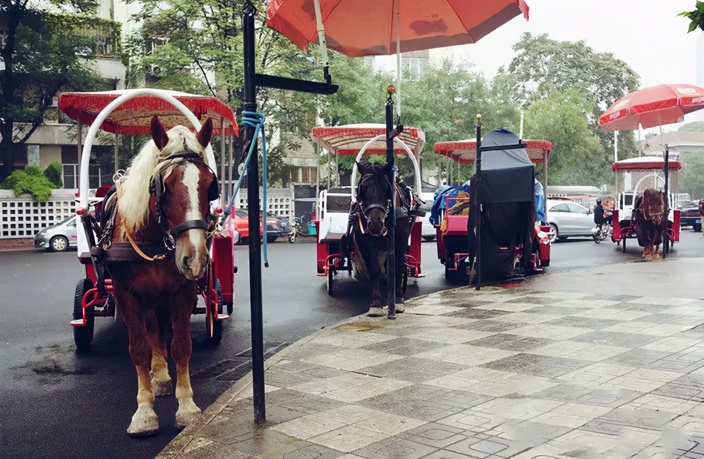 天津旅游攻略三日游详细攻略图,天津一日游一份完整的旅游攻略