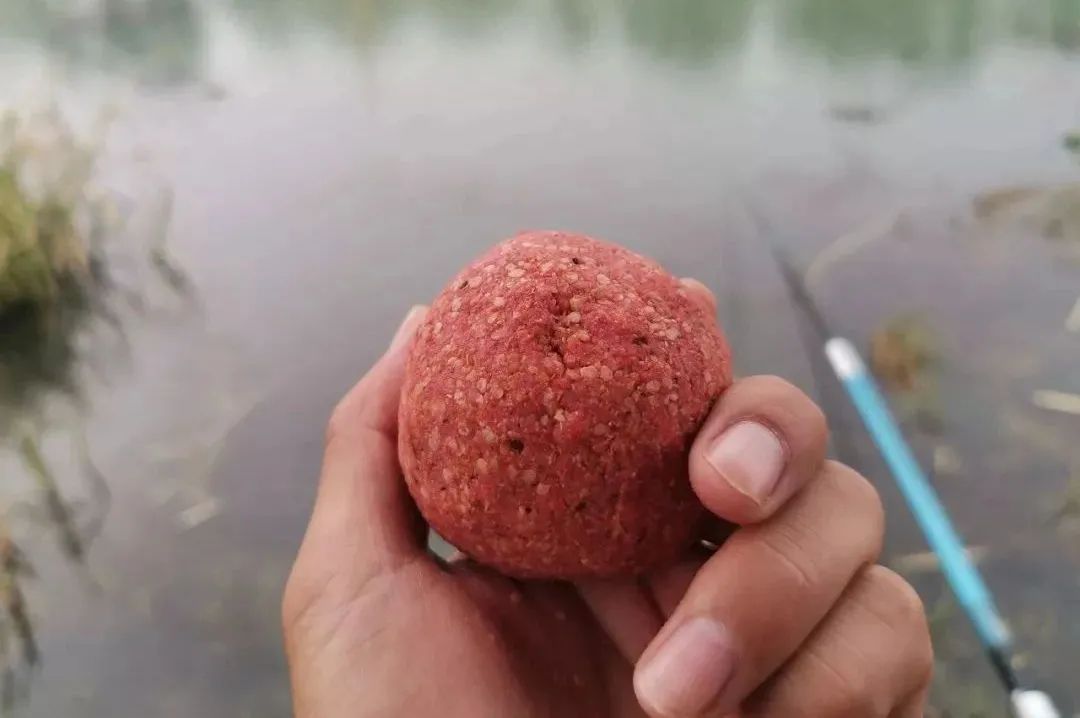 有鱼钓不到鱼怎么回事,鱼钓不上鱼的原因