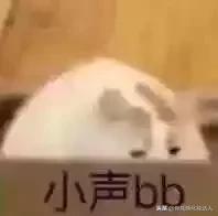 skii和兰蔻哪个更好,兰蔻和skii哪个比较大牌