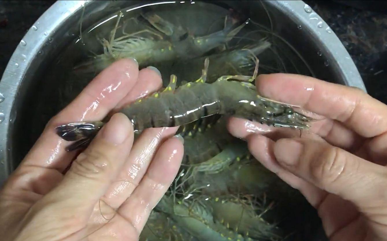 虾线很脏是新鲜还是不新鲜,虾线真的不能吃吗