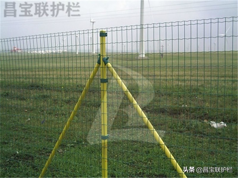 铁丝网围栏网,铁丝网围栏养鸡网