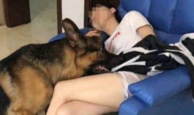 女子受伤被狗舔截肢,被狗舔过截肢事件