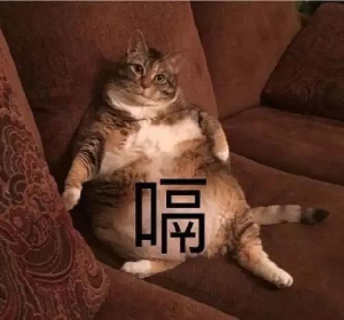 太无聊该怎么应付,太无聊了会得什么症