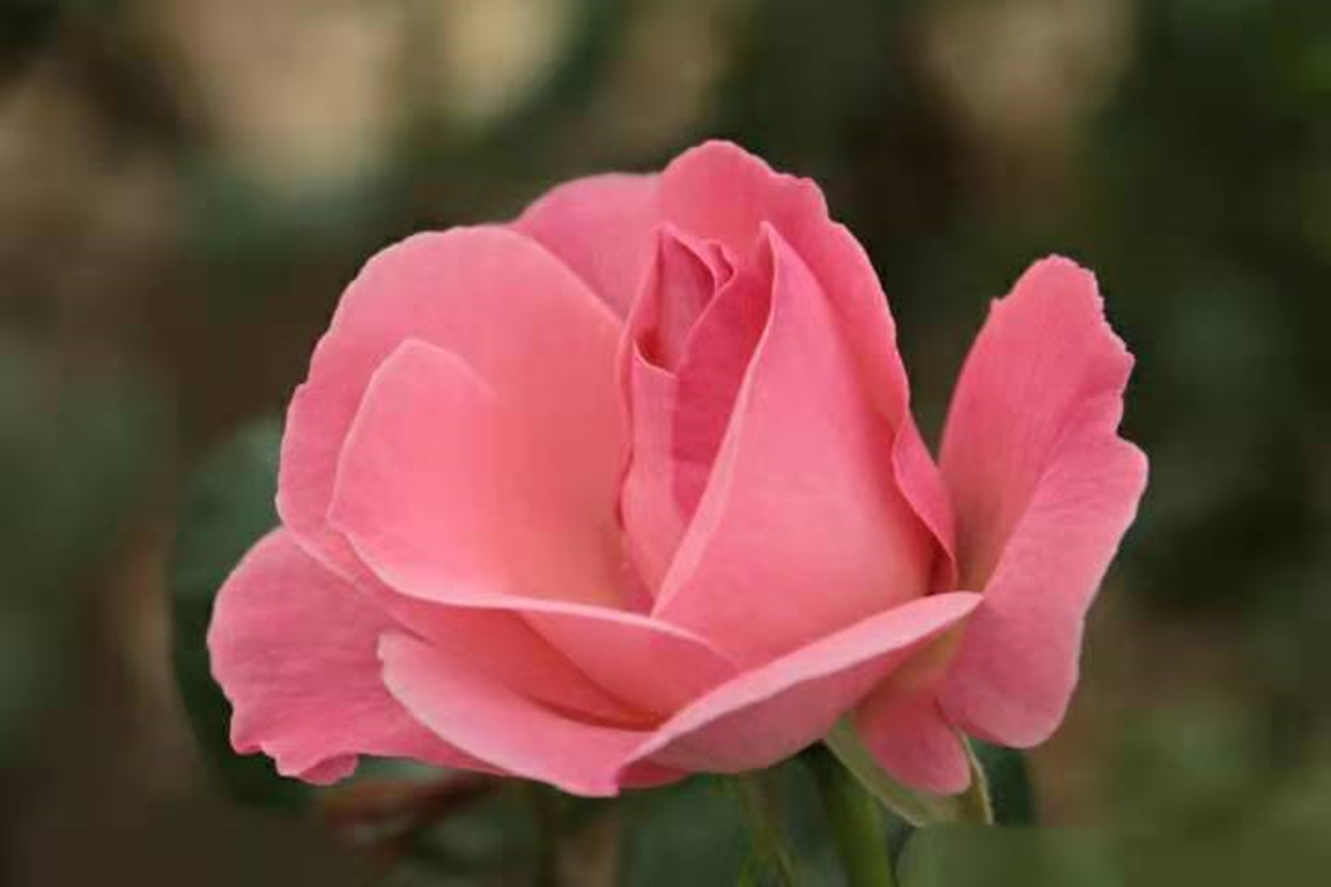 一桩离奇命案引出3年前一起旧案,一桩离奇命案引出三年前一起旧案