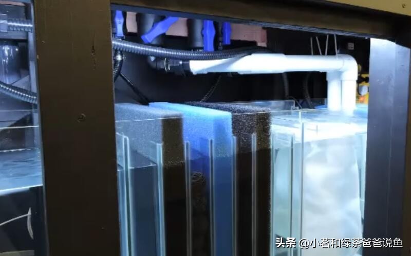 鱼缸硝化细菌怎么加过滤槽,鱼缸过滤硝化细菌屋怎么选