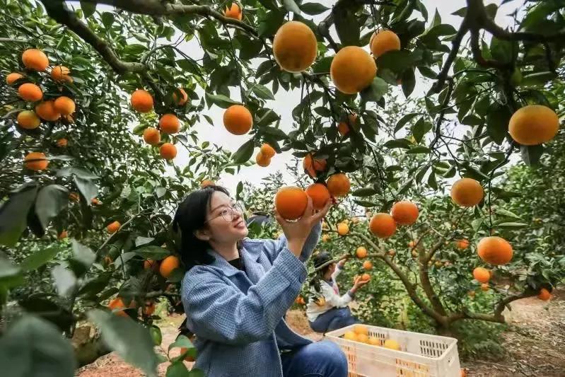 富士康员工最新爆料,富士康内部员工爆料最新