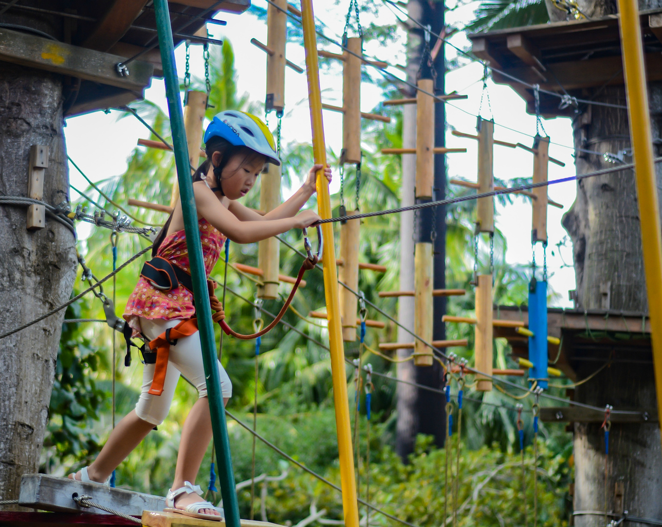 你在南方瑟瑟发抖，我在这里遛娃、看猴、赶海····