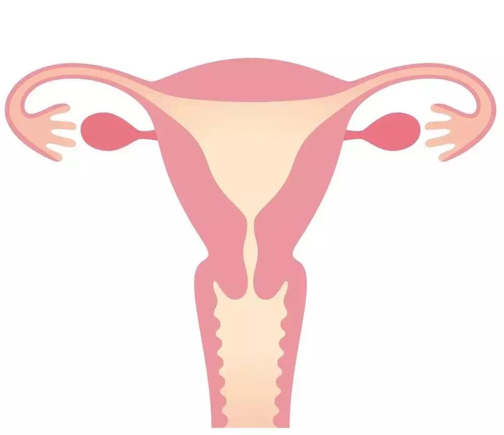 妇产科输卵管堵塞复通,输卵管不通医生建议做试管怎么办