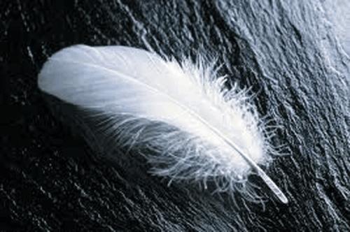 奇妙知识大科普,5个奇葩冷知识颠覆认知