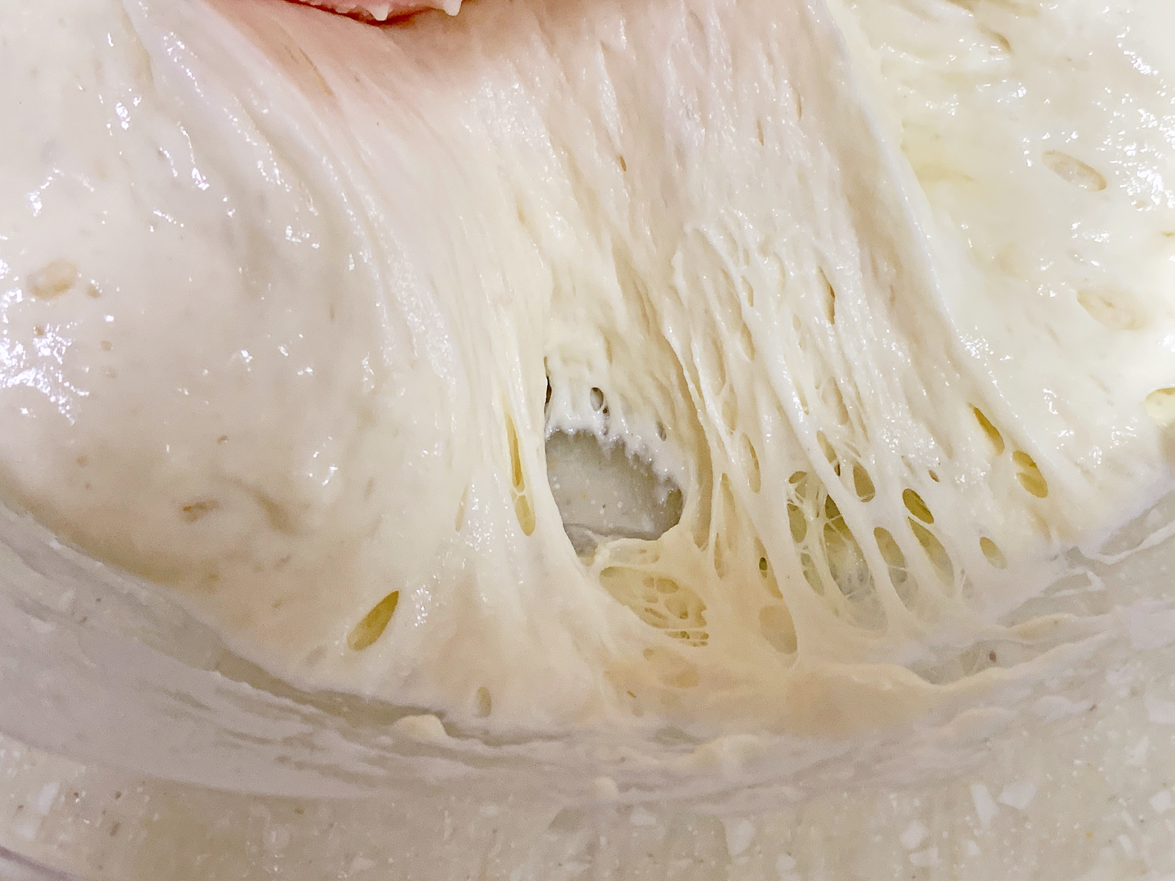 中种淡奶油小餐包,又香又脆奶味浓郁超好吃