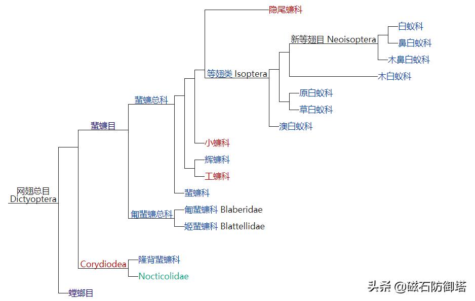 这个杀手不太冷里的人是谁,这个杀手不太冷里边的缉毒警