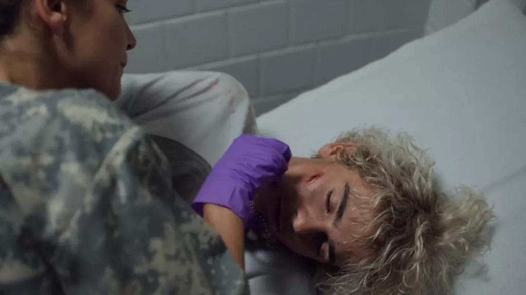 卢卡瓜达尼诺合作电影,卢卡瓜达尼诺电影风格