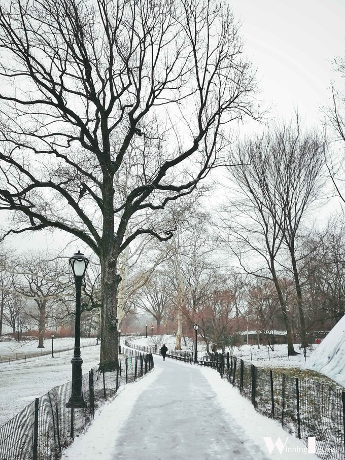 现实版未来之城纽约中央公园,纽约中央公园和北京奥体森林公园