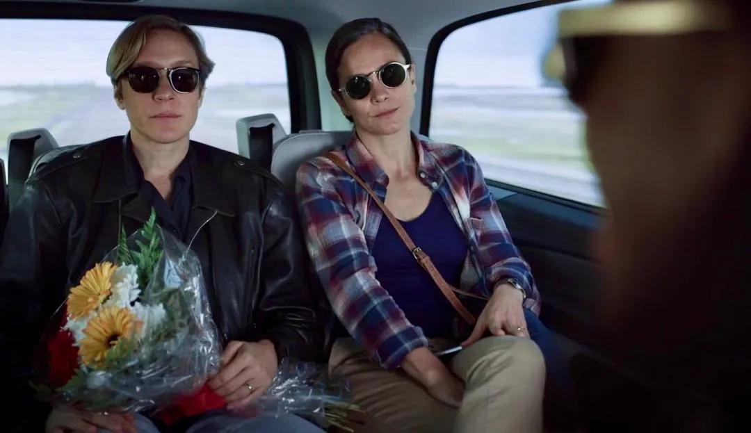 卢卡瓜达尼诺合作电影,卢卡瓜达尼诺电影风格