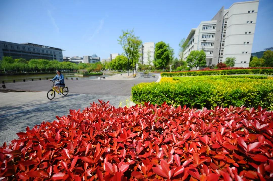 杭州美职学校风景,杭州美丽学校评选