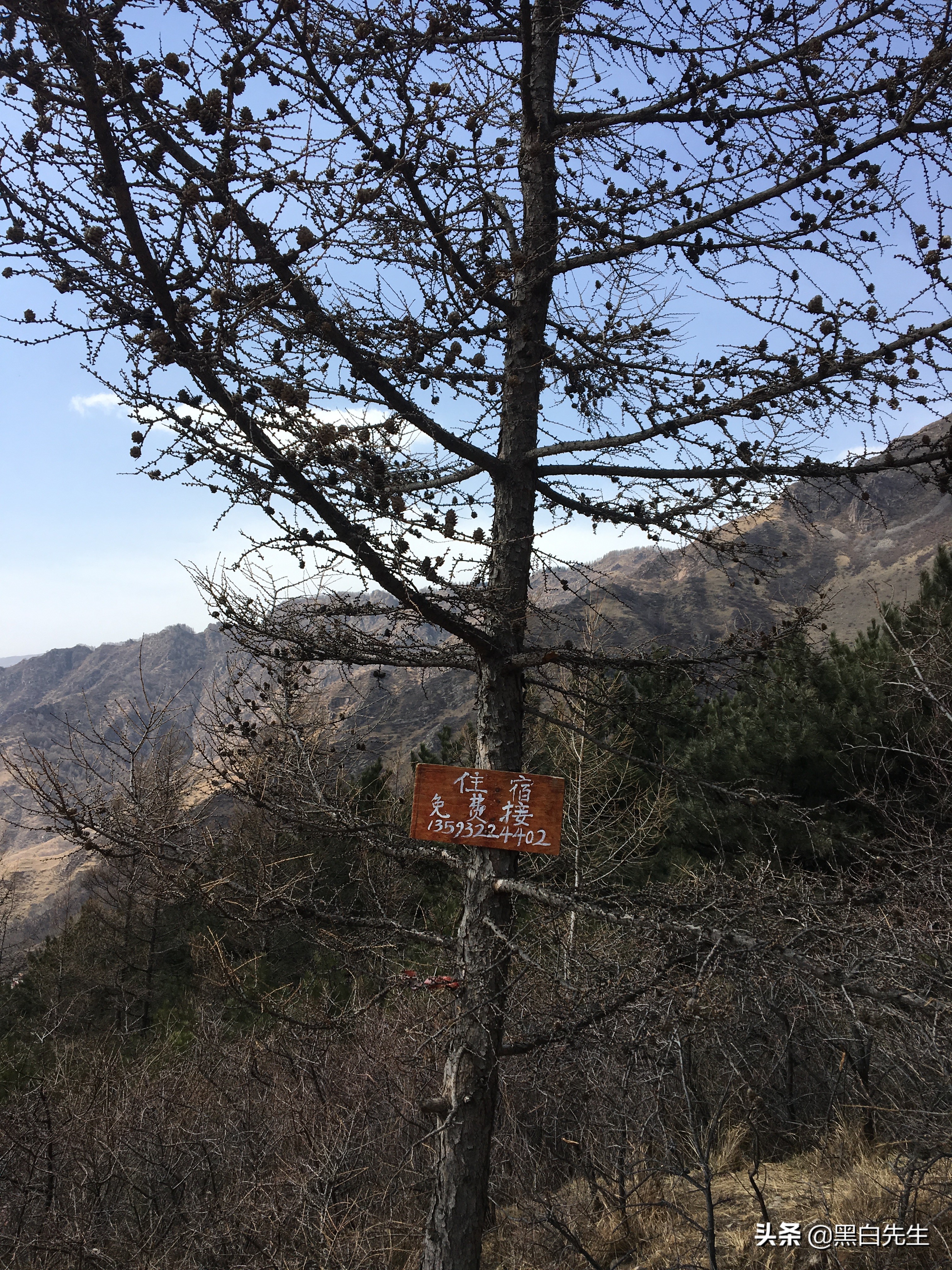 五台山轻装徒步攻略,五台山一日徒步