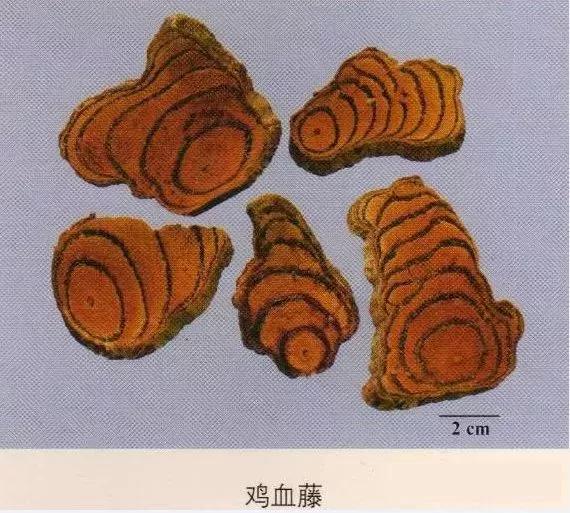 中药材图片大全大图带药名,200多味中药材图谱带图