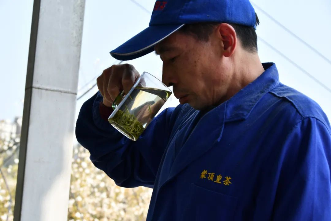我们争分夺秒加班加点，就是为了奉上今春这第一波蒙顶皇茶！