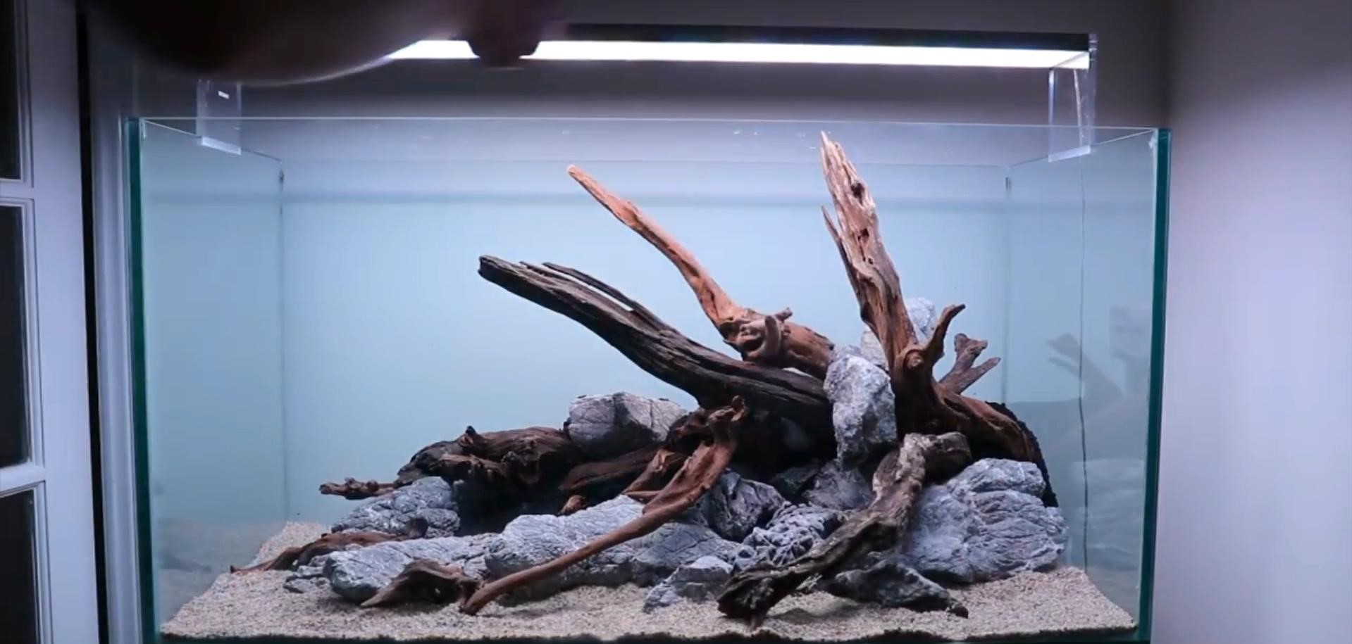 沉木草缸入门造景,50厘米草缸入门造景